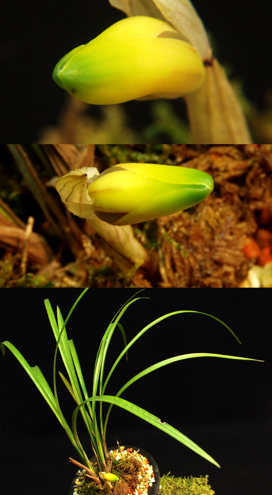 ������ ū������ �� �� �ֽ��ϴ�.