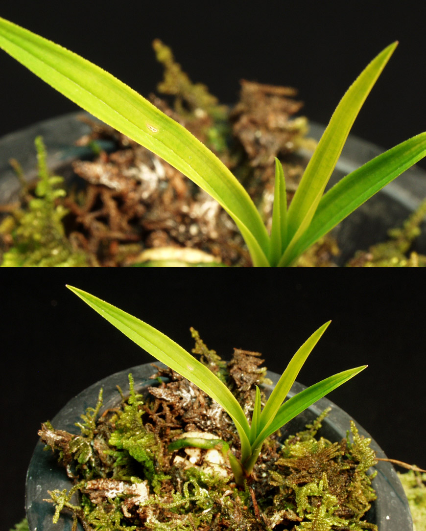 ������ ū������ �� �� �ֽ��ϴ�.