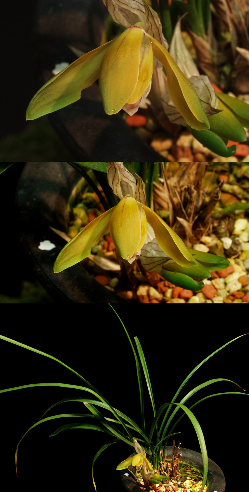 ������ ū������ �� �� �ֽ��ϴ�.