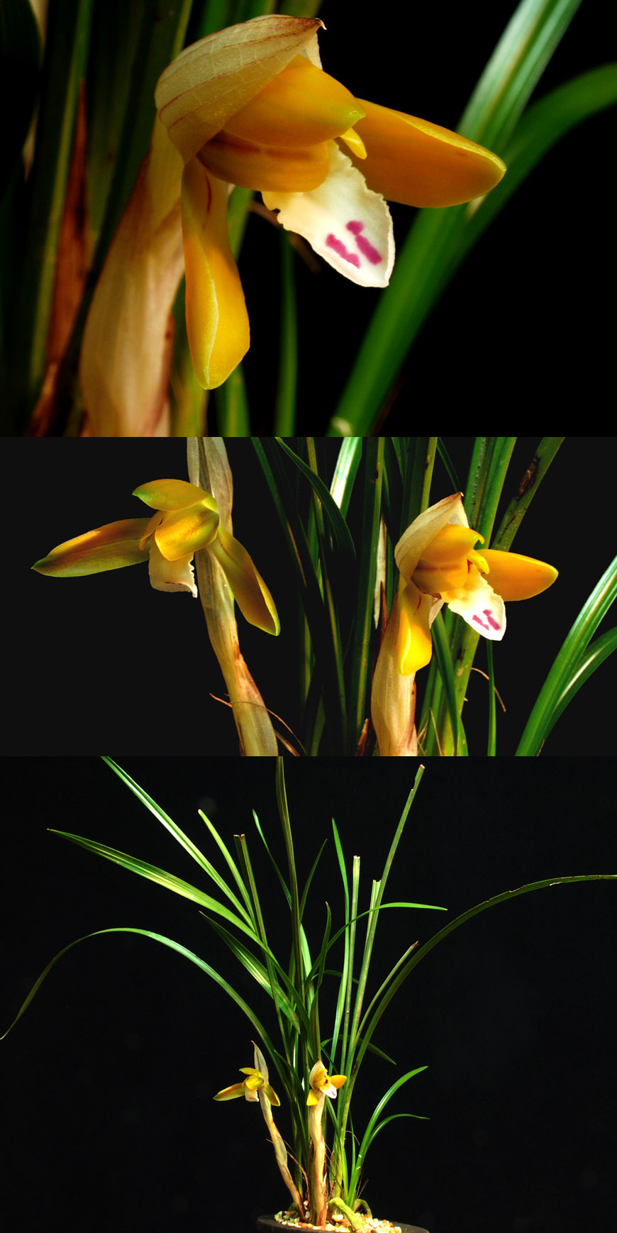 ������ ū������ �� �� �ֽ��ϴ�.