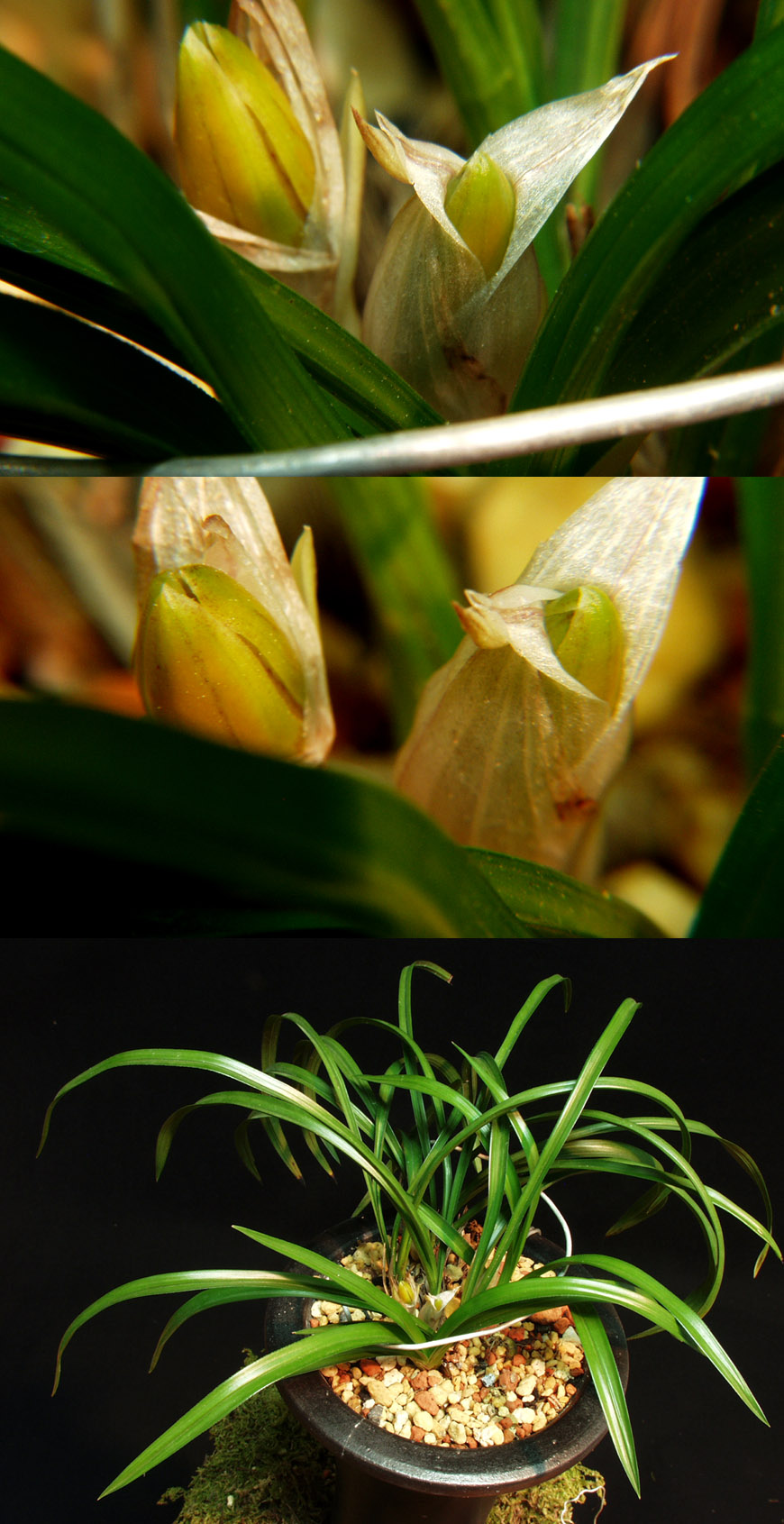 ������ ū������ �� �� �ֽ��ϴ�.