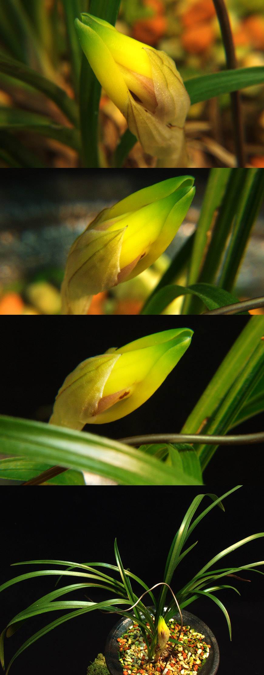 ������ ū������ �� �� �ֽ��ϴ�.