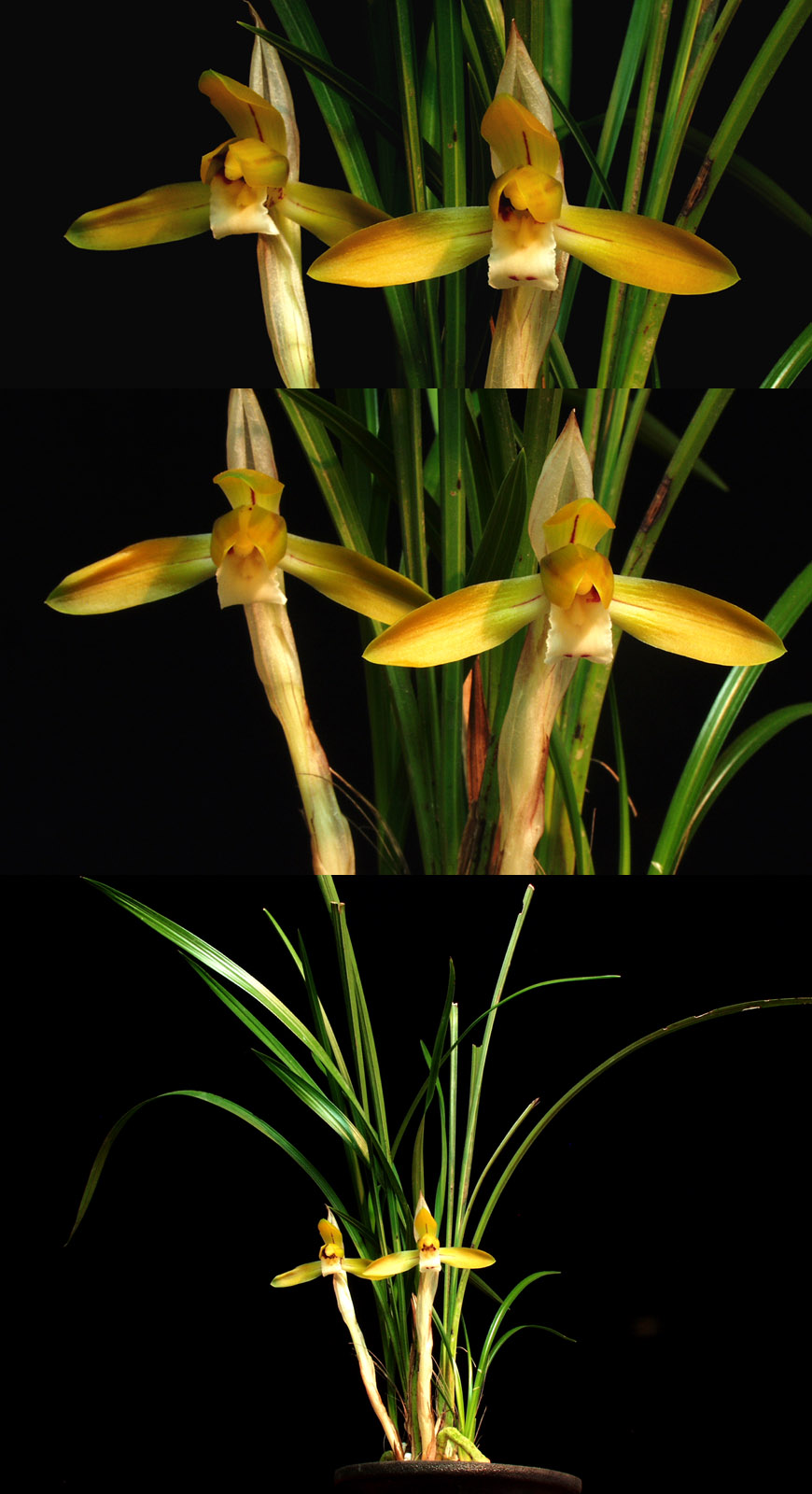 ������ ū������ �� �� �ֽ��ϴ�.