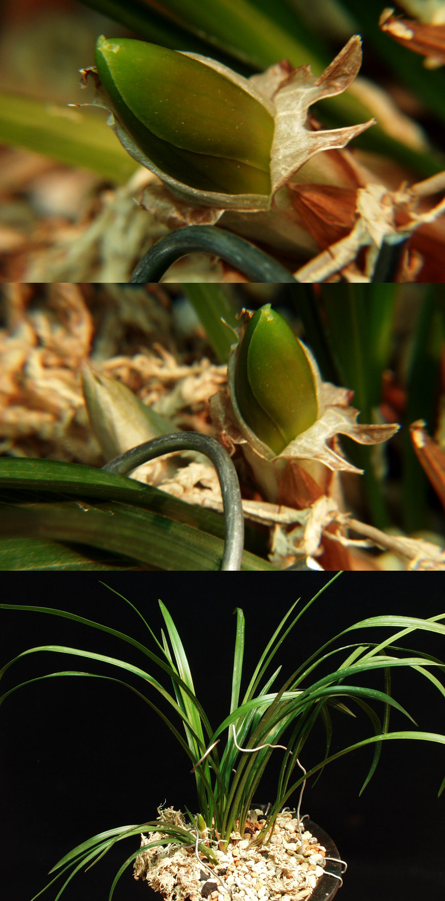 ������ ū������ �� �� �ֽ��ϴ�.