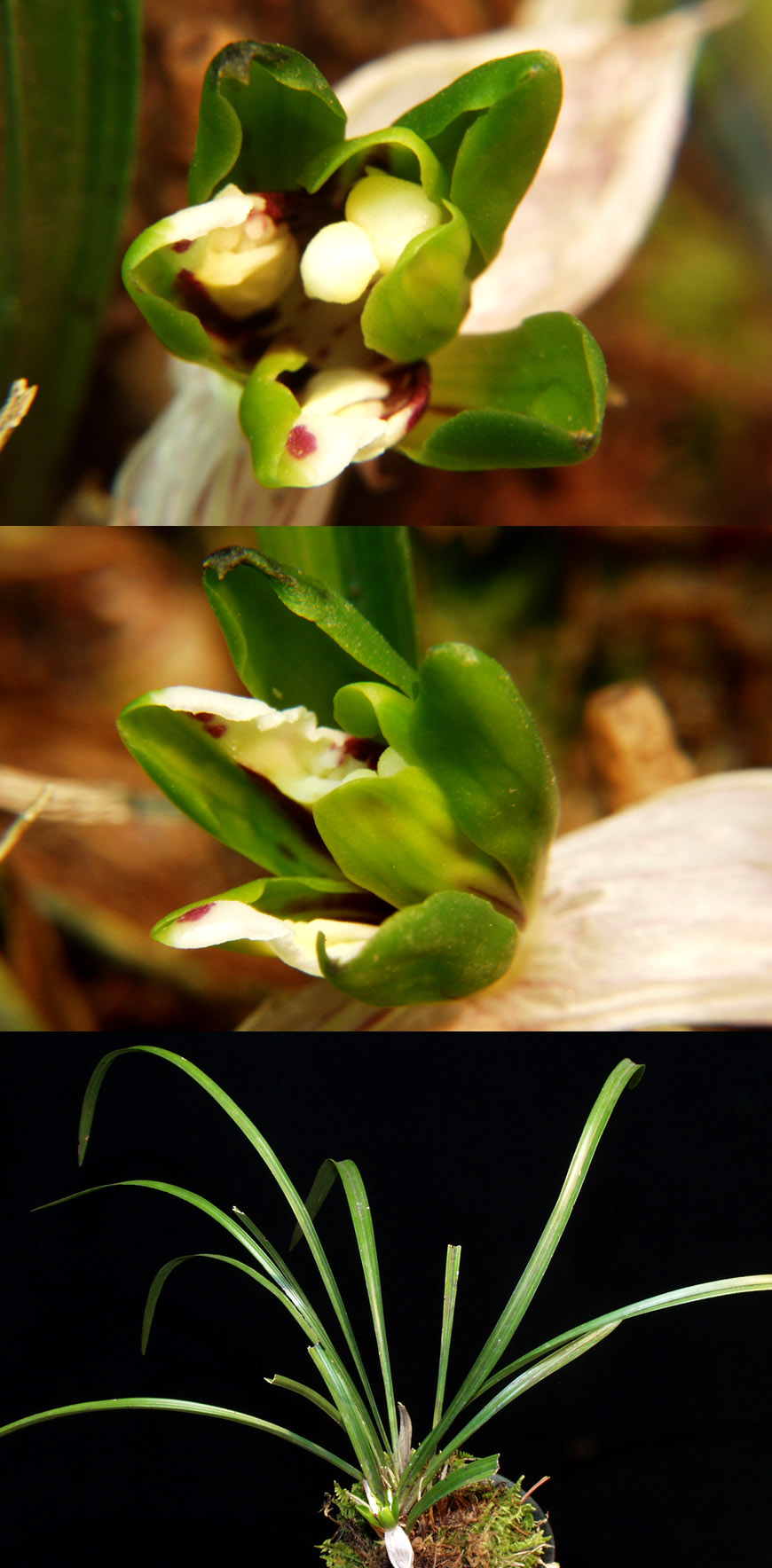 ������ ū������ �� �� �ֽ��ϴ�.