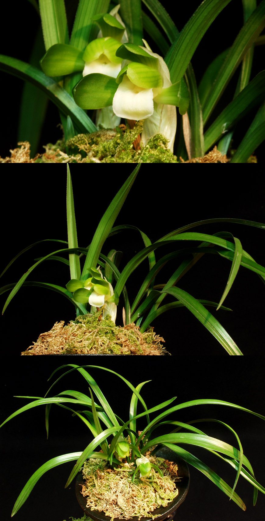 ������ ū������ �� �� �ֽ��ϴ�.