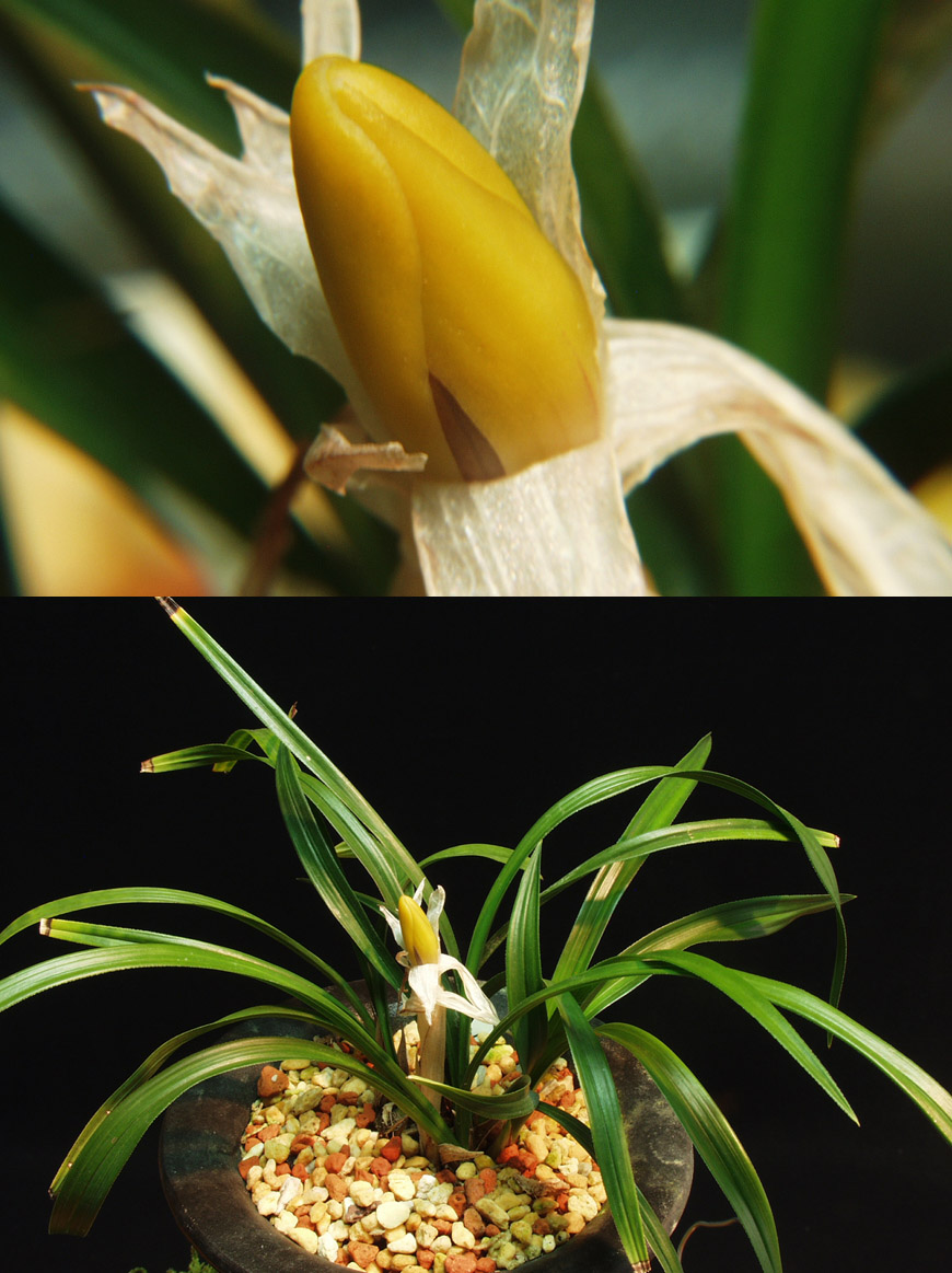 ������ ū������ �� �� �ֽ��ϴ�.