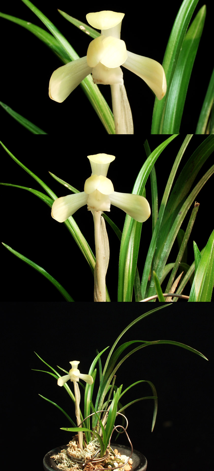 ������ ū������ �� �� �ֽ��ϴ�.