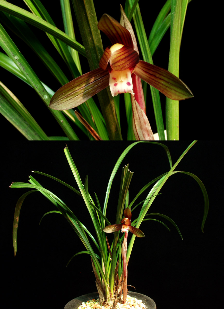 ������ ū������ �� �� �ֽ��ϴ�.