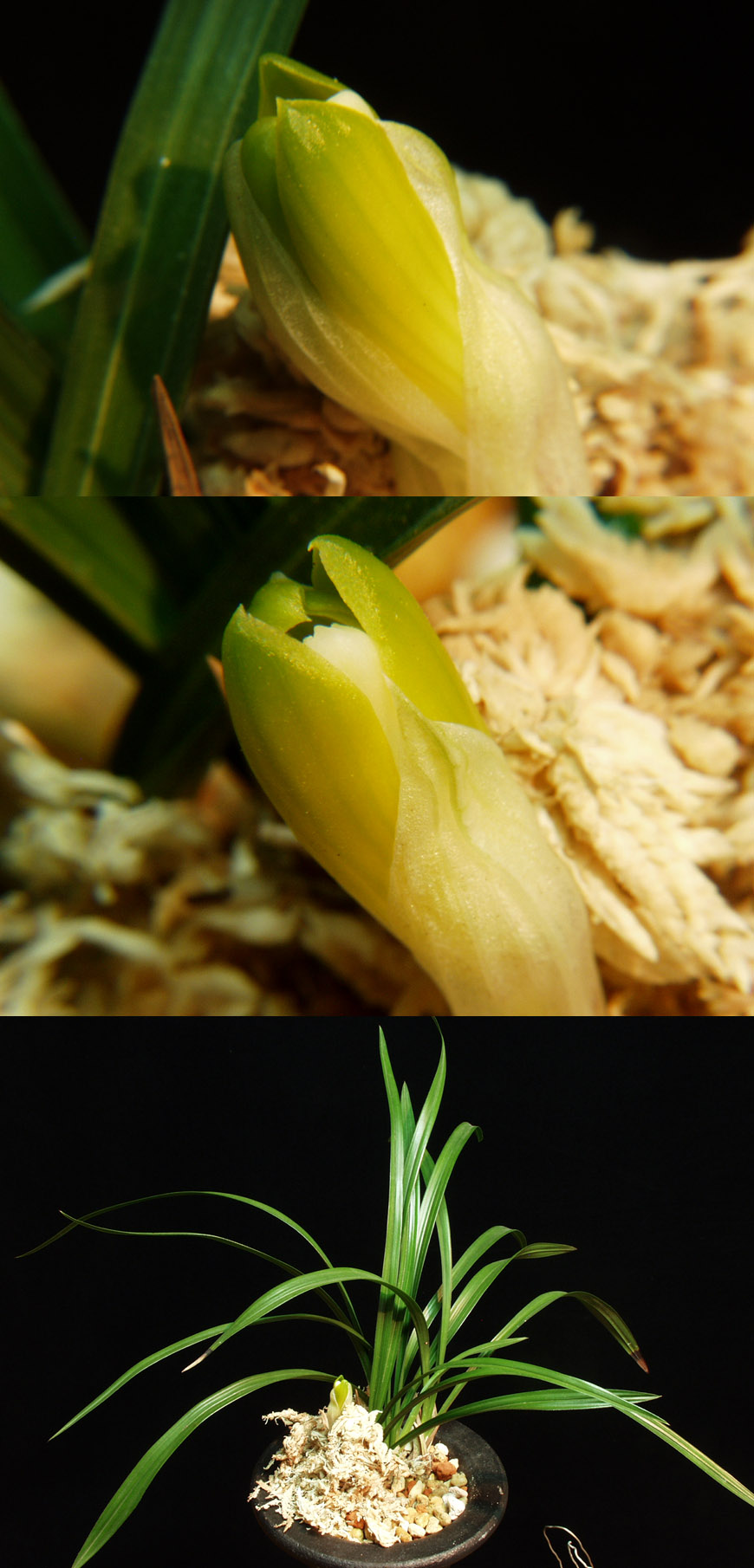 ������ ū������ �� �� �ֽ��ϴ�.