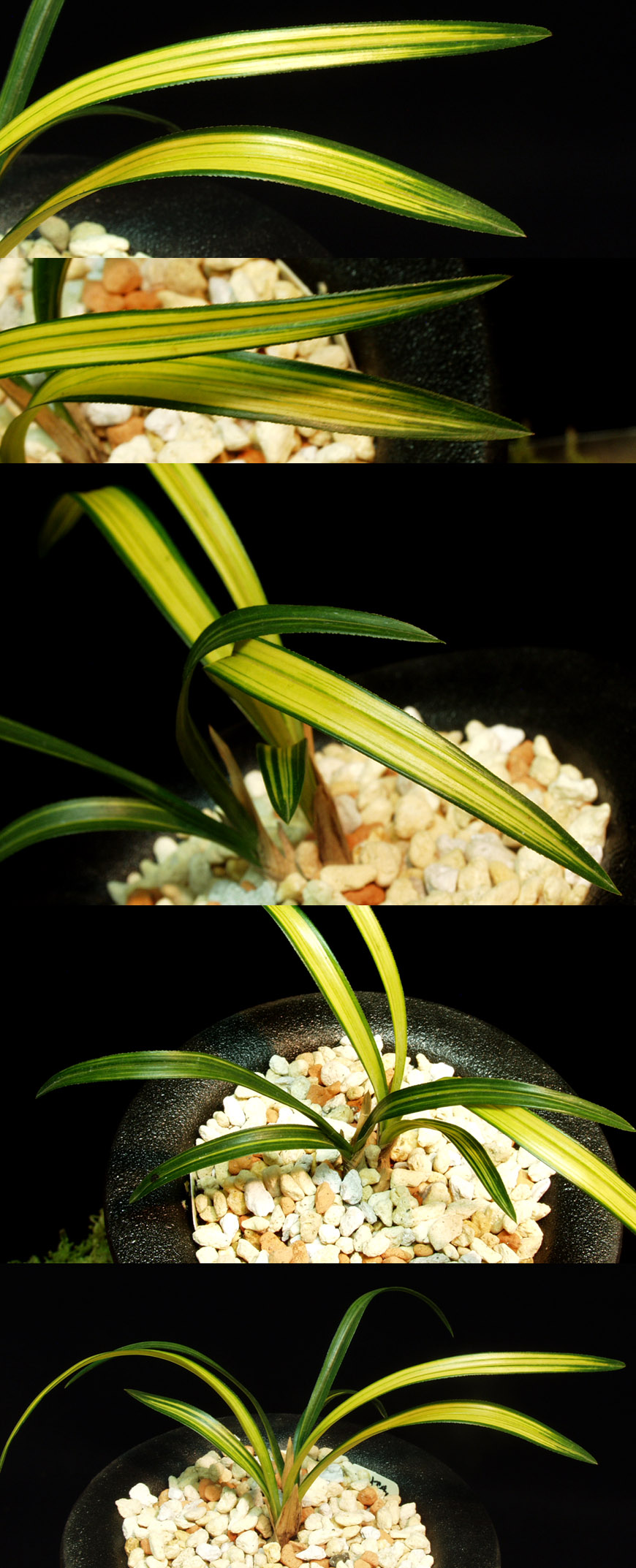 ������ ū������ �� �� �ֽ��ϴ�.