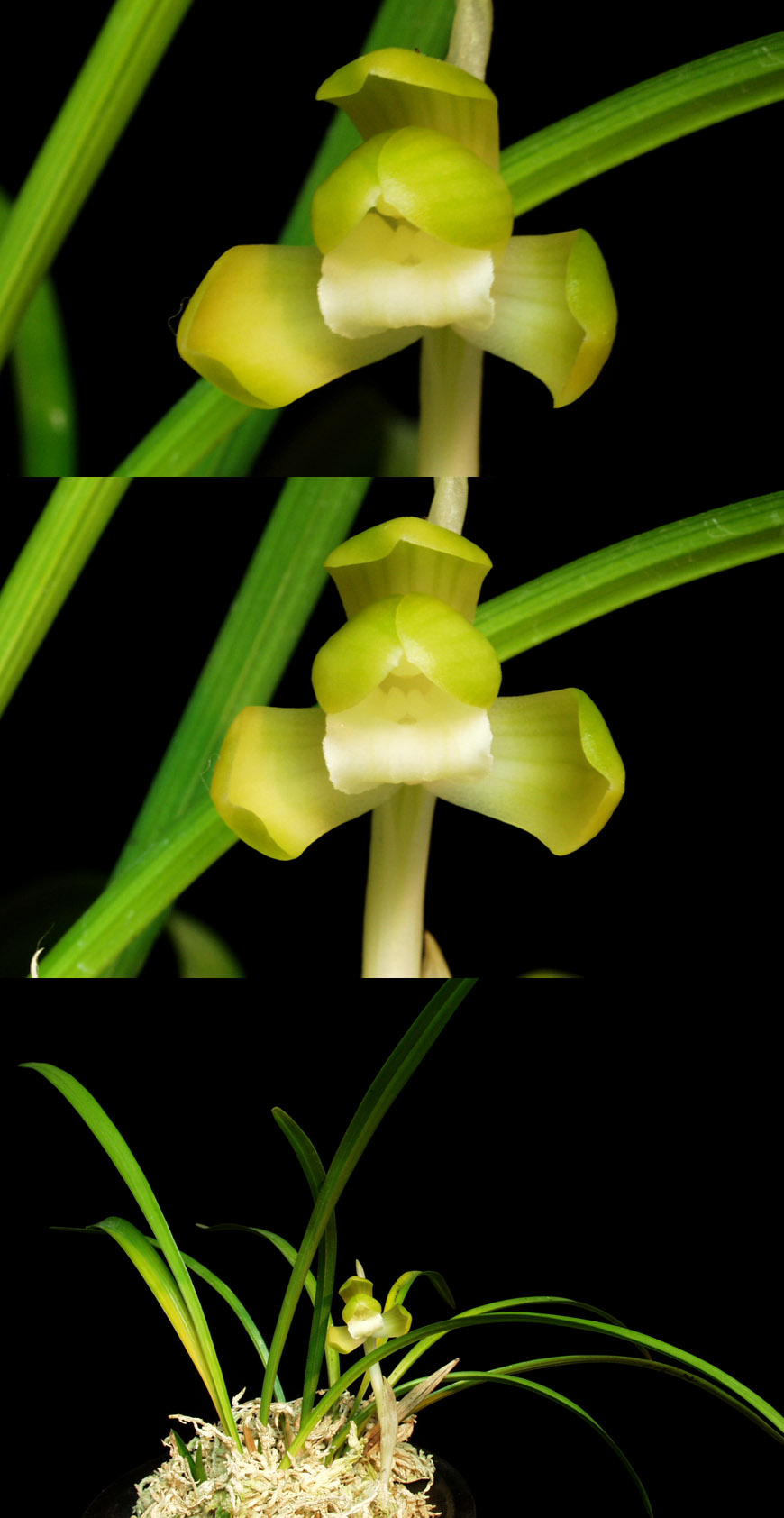 ������ ū������ �� �� �ֽ��ϴ�.