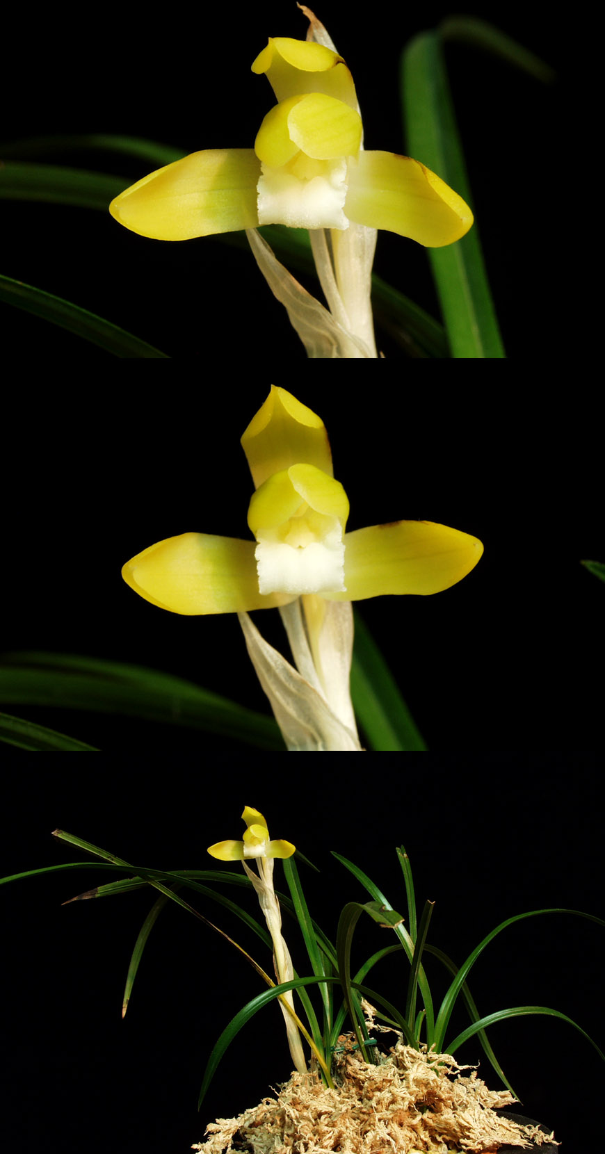 ������ ū������ �� �� �ֽ��ϴ�.