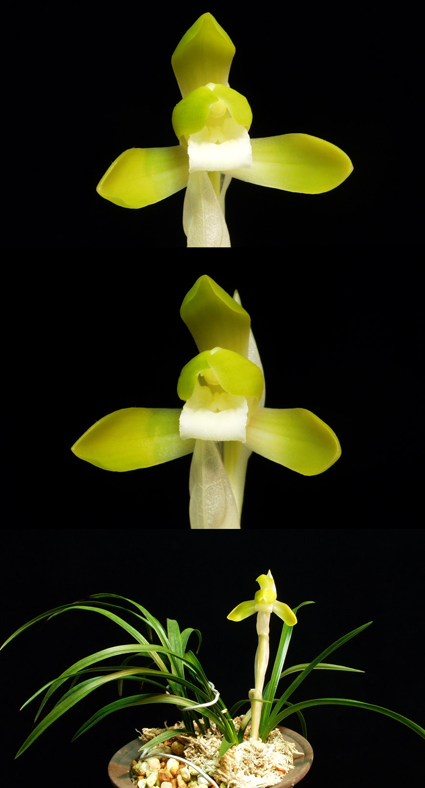 ������ ū������ �� �� �ֽ��ϴ�.