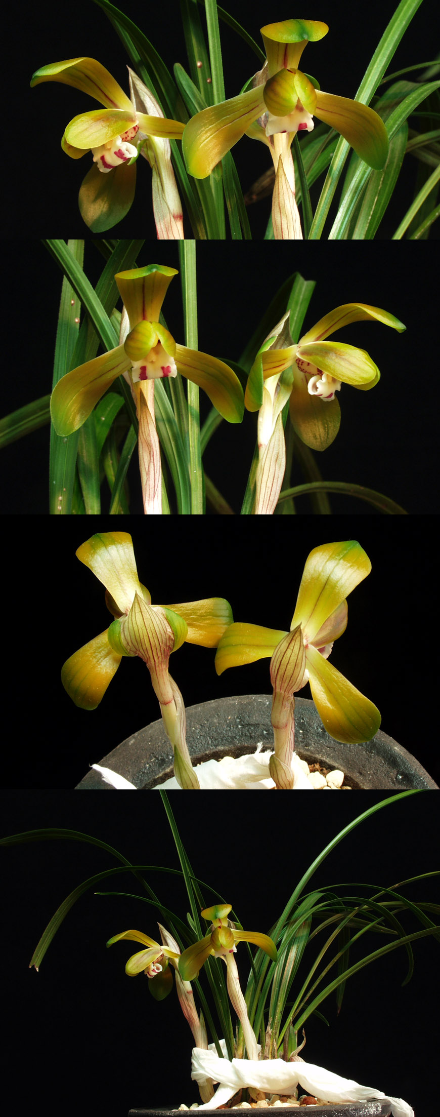 ������ ū������ �� �� �ֽ��ϴ�.