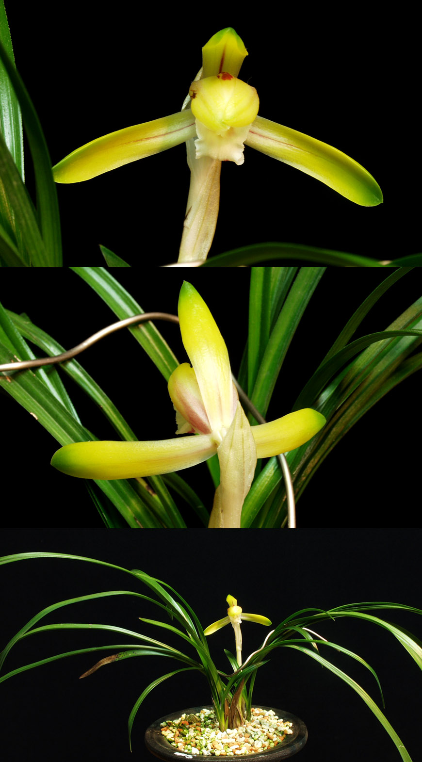 ������ ū������ �� �� �ֽ��ϴ�.