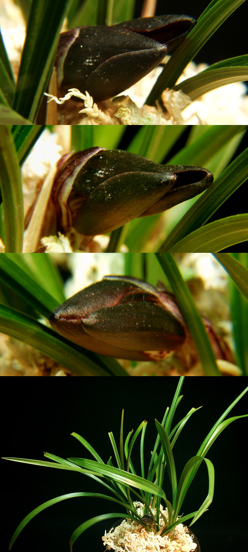 ������ ū������ �� �� �ֽ��ϴ�.