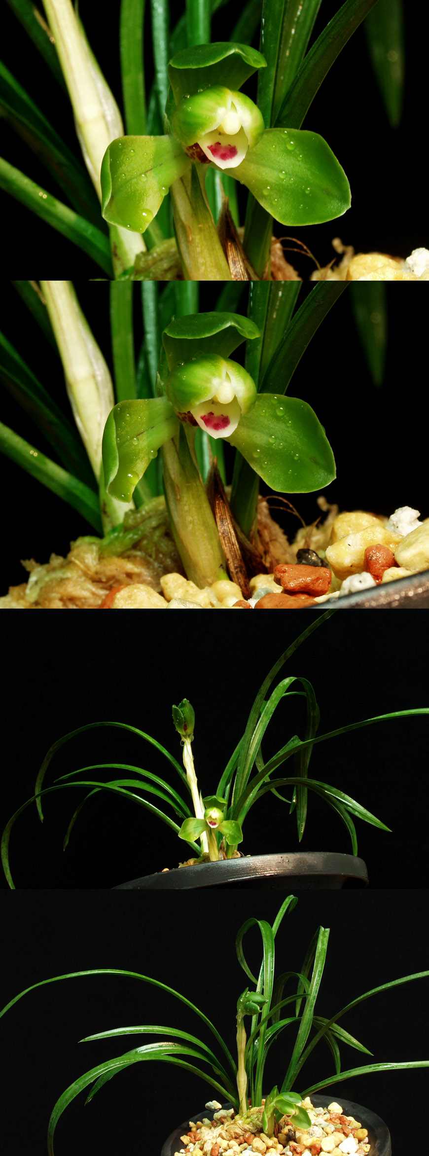 ������ ū������ �� �� �ֽ��ϴ�.