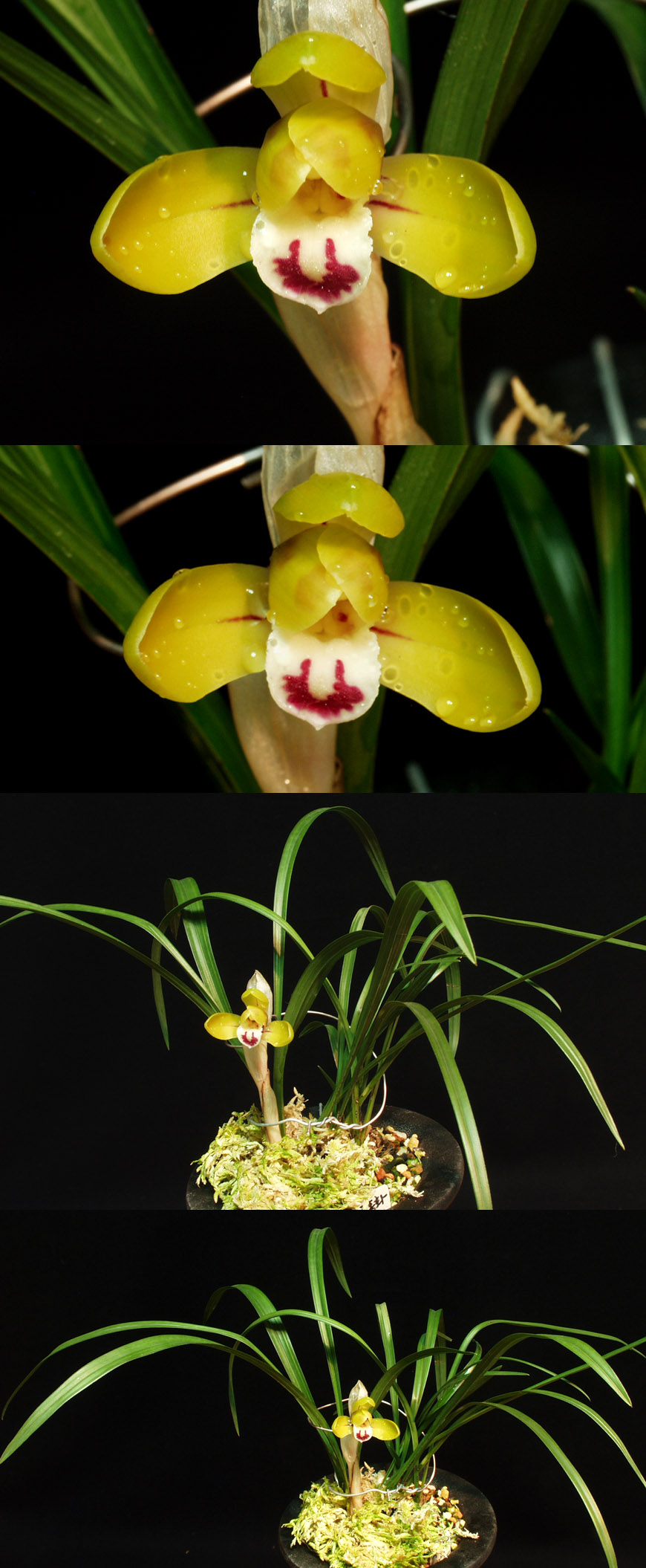 ������ ū������ �� �� �ֽ��ϴ�.