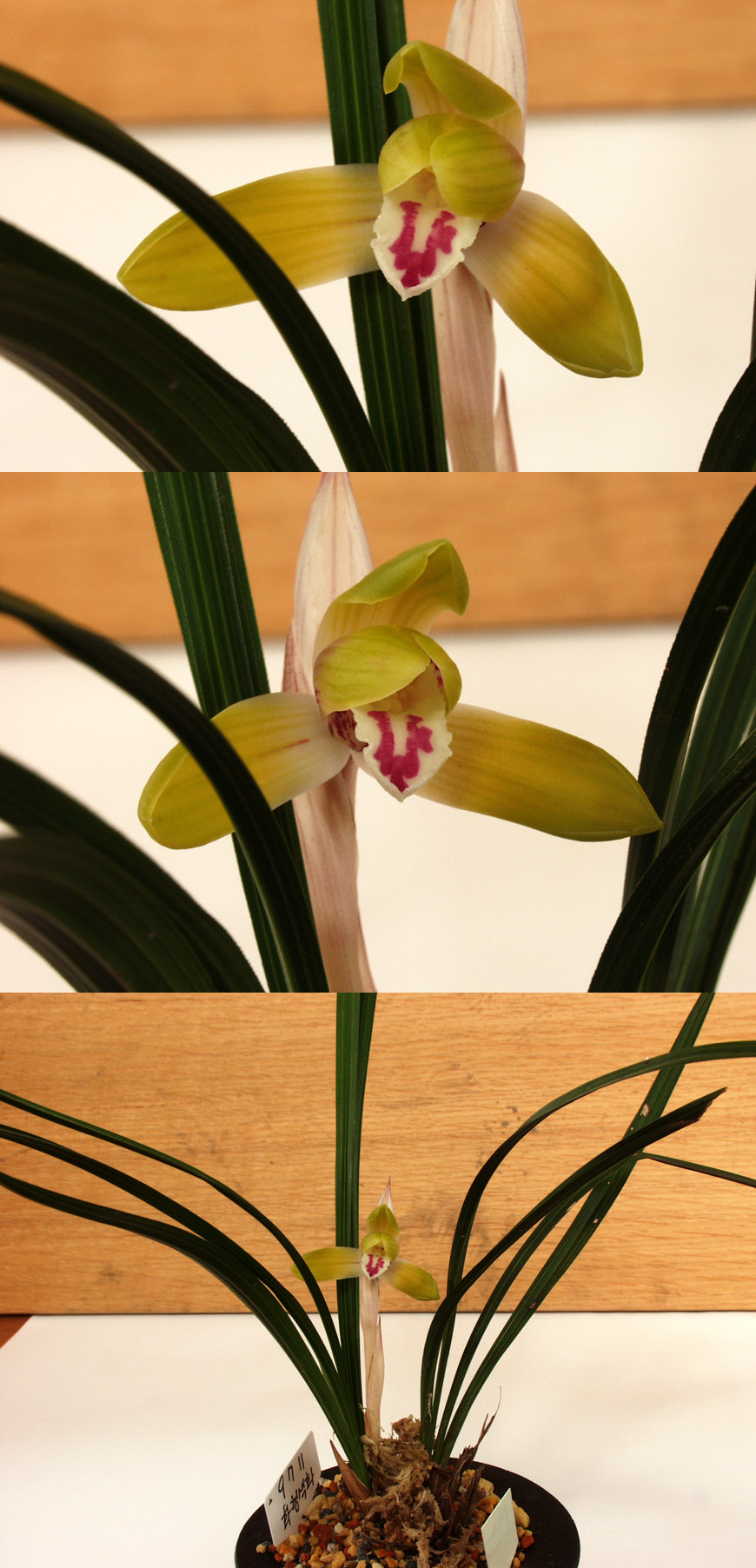 ������ ū������ �� �� �ֽ��ϴ�.