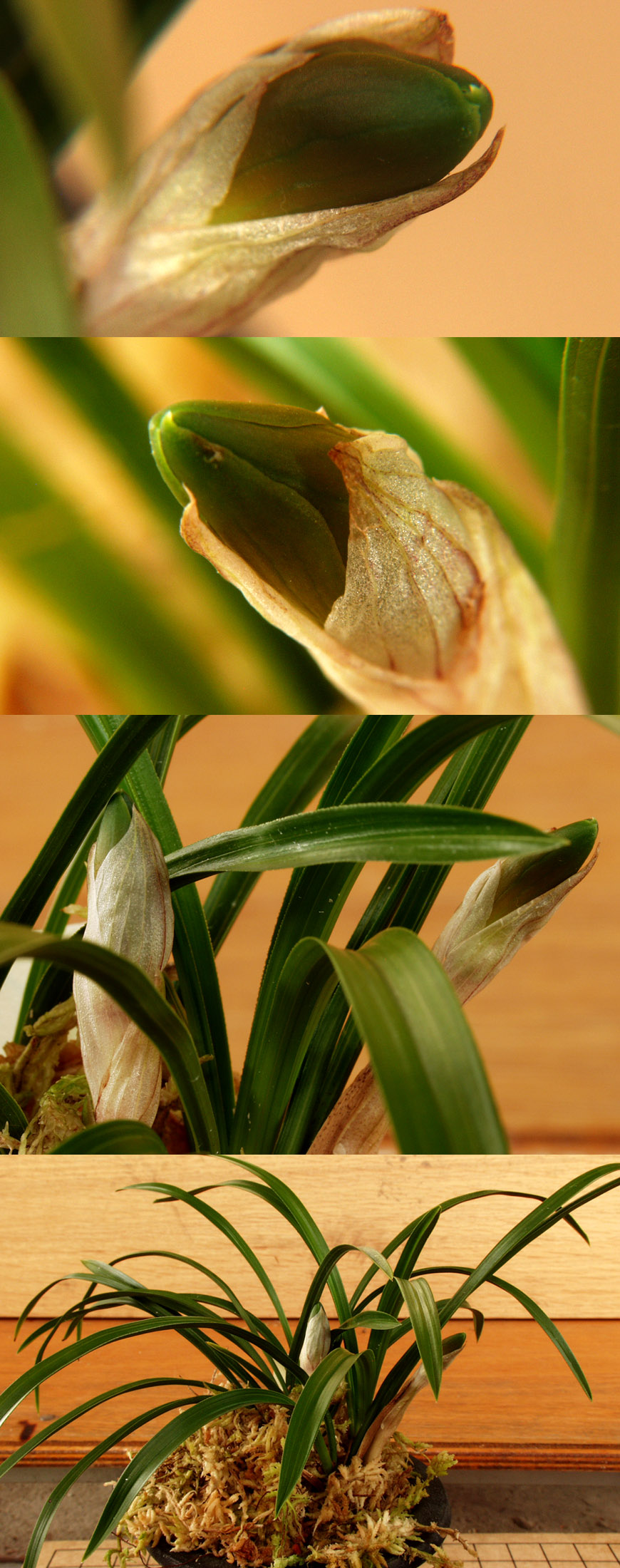 ������ ū������ �� �� �ֽ��ϴ�.