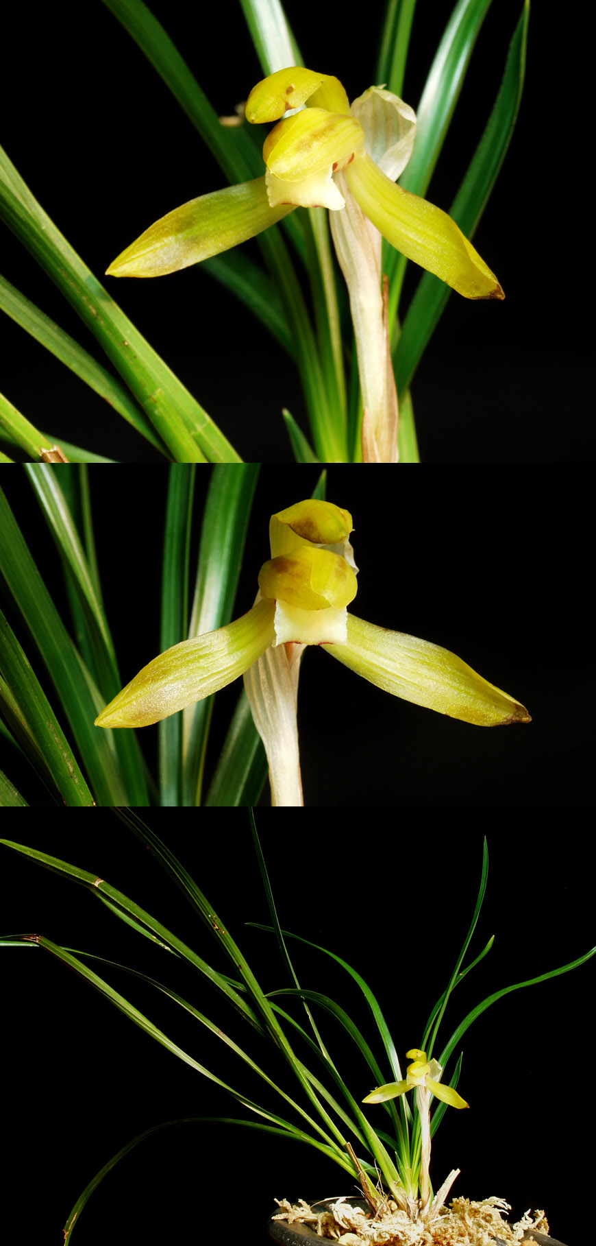 ������ ū������ �� �� �ֽ��ϴ�.