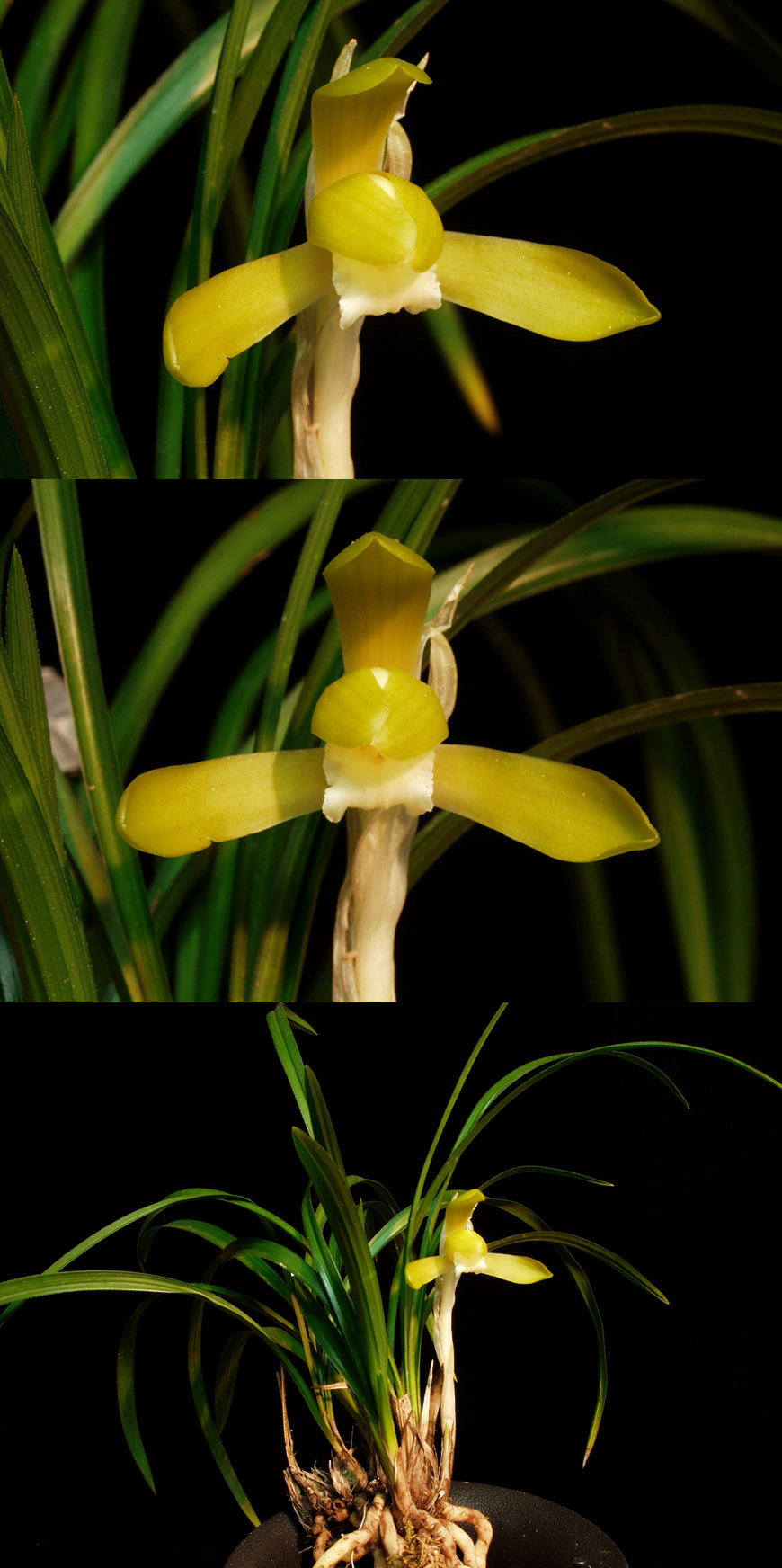 ������ ū������ �� �� �ֽ��ϴ�.