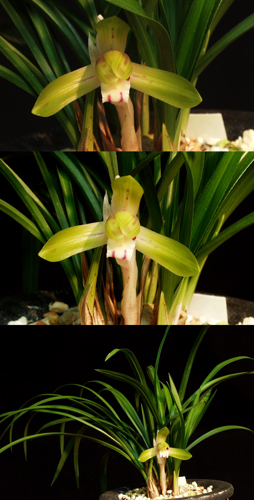 ������ ū������ �� �� �ֽ��ϴ�.