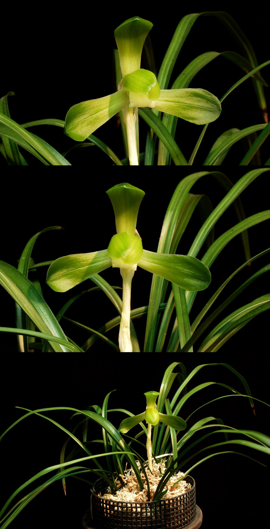 ������ ū������ �� �� �ֽ��ϴ�.