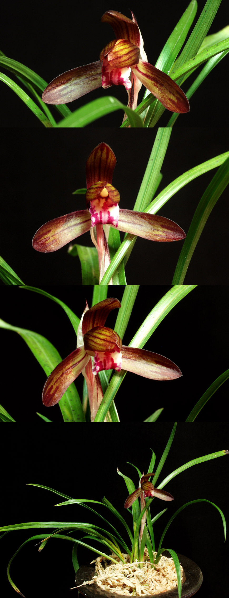 ������ ū������ �� �� �ֽ��ϴ�.