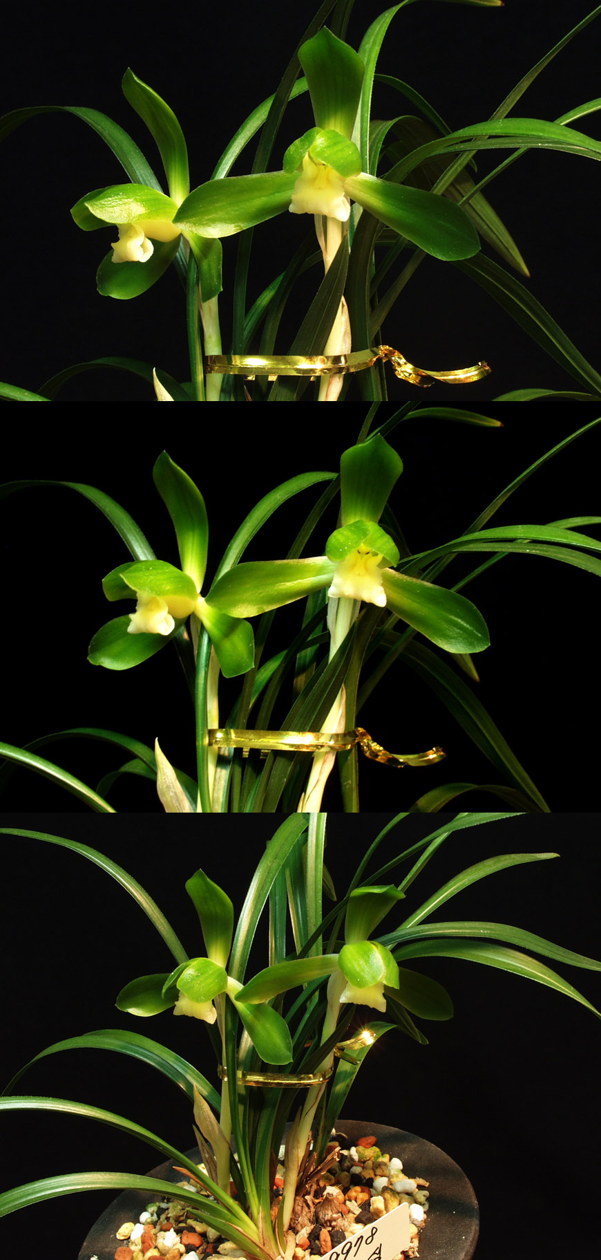 ������ ū������ �� �� �ֽ��ϴ�.