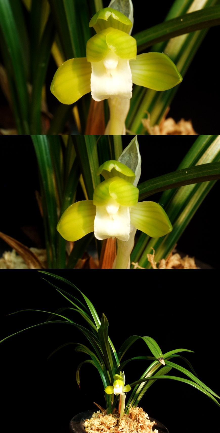 ������ ū������ �� �� �ֽ��ϴ�.