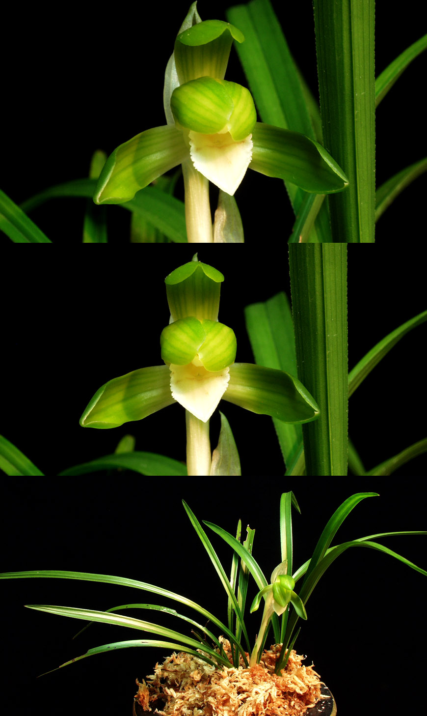 ������ ū������ �� �� �ֽ��ϴ�.