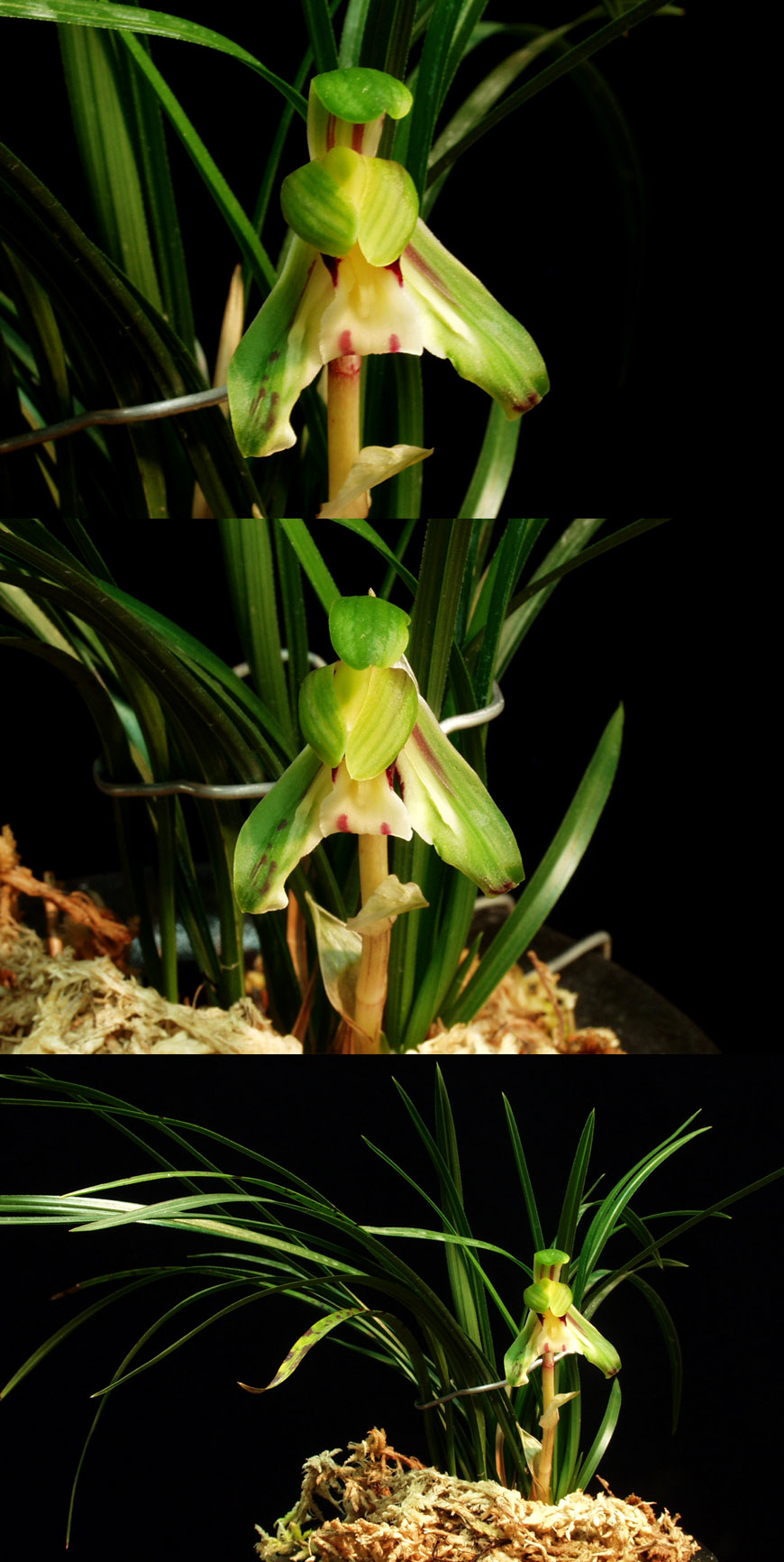 ������ ū������ �� �� �ֽ��ϴ�.