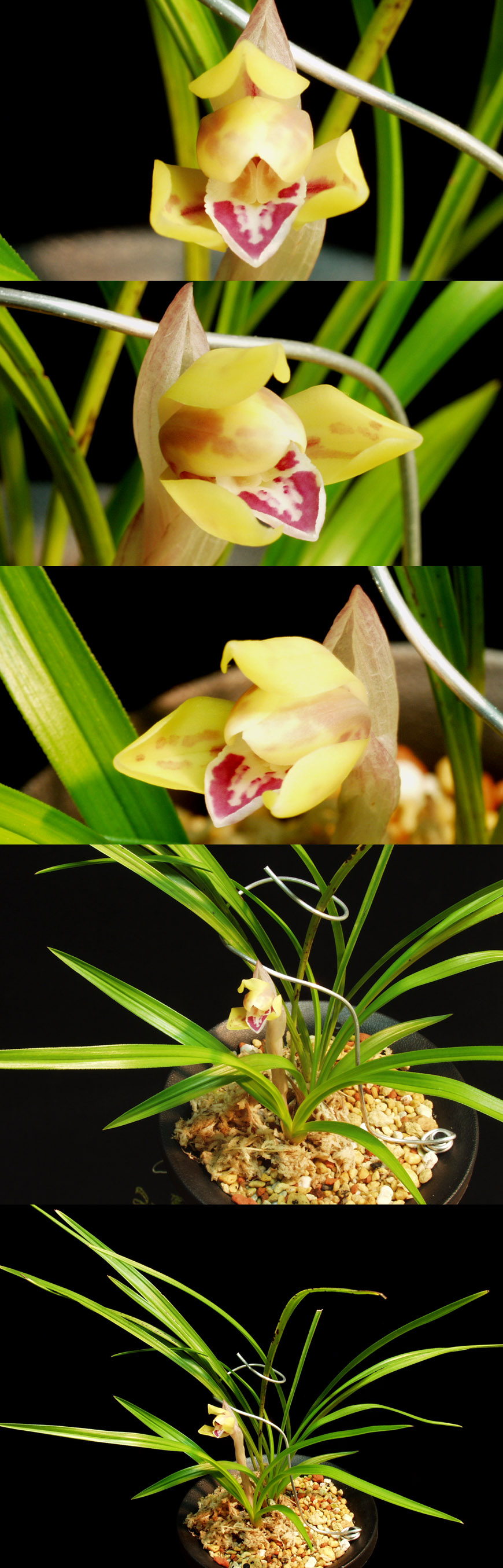 ������ ū������ �� �� �ֽ��ϴ�.