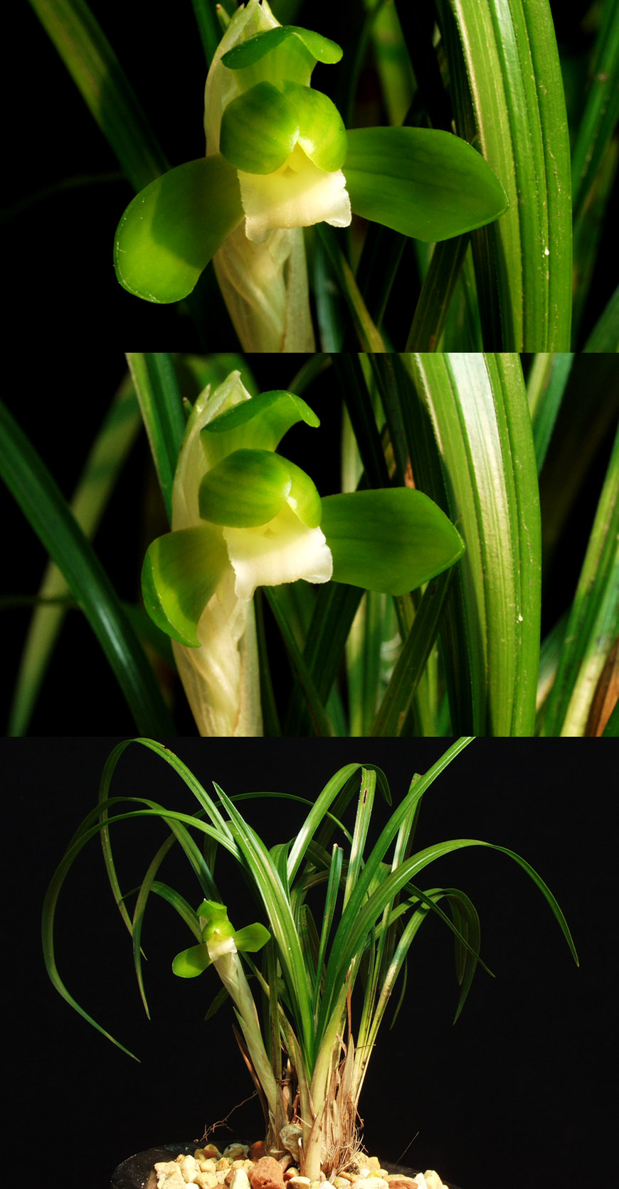 ������ ū������ �� �� �ֽ��ϴ�.