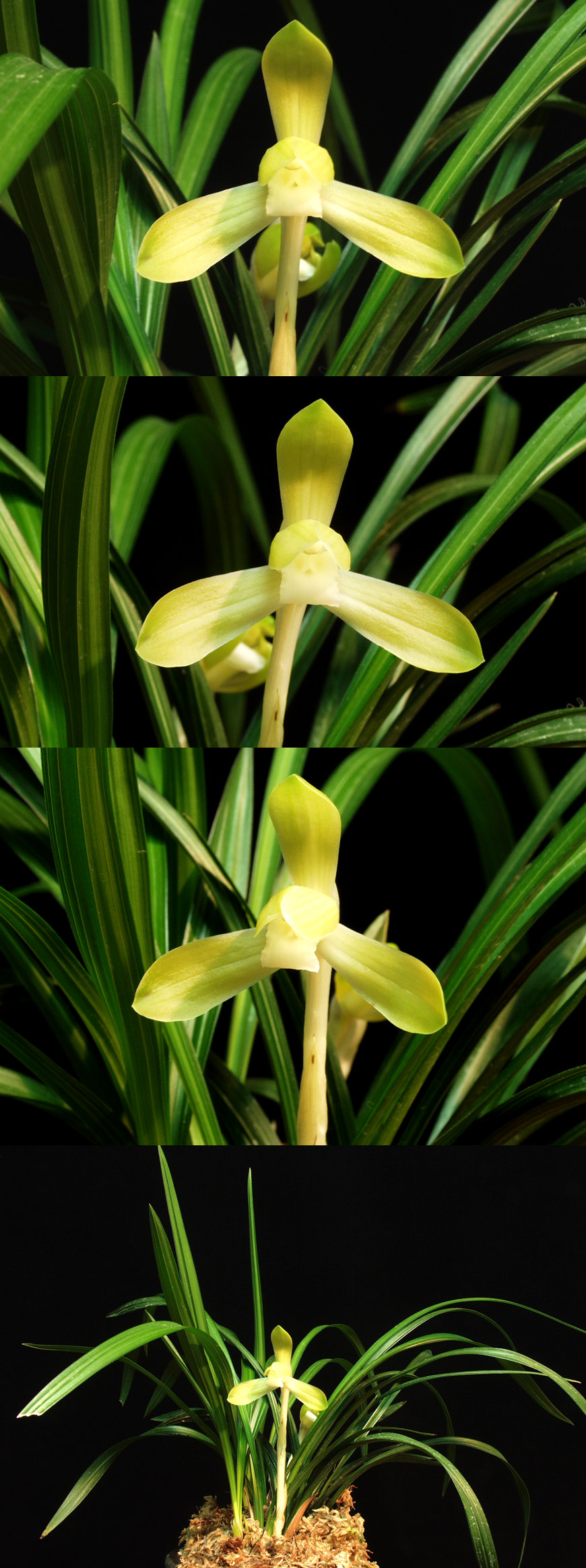 ������ ū������ �� �� �ֽ��ϴ�.