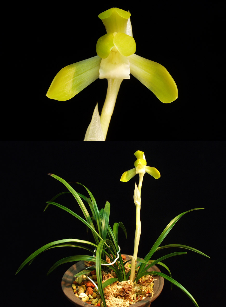 ������ ū������ �� �� �ֽ��ϴ�.