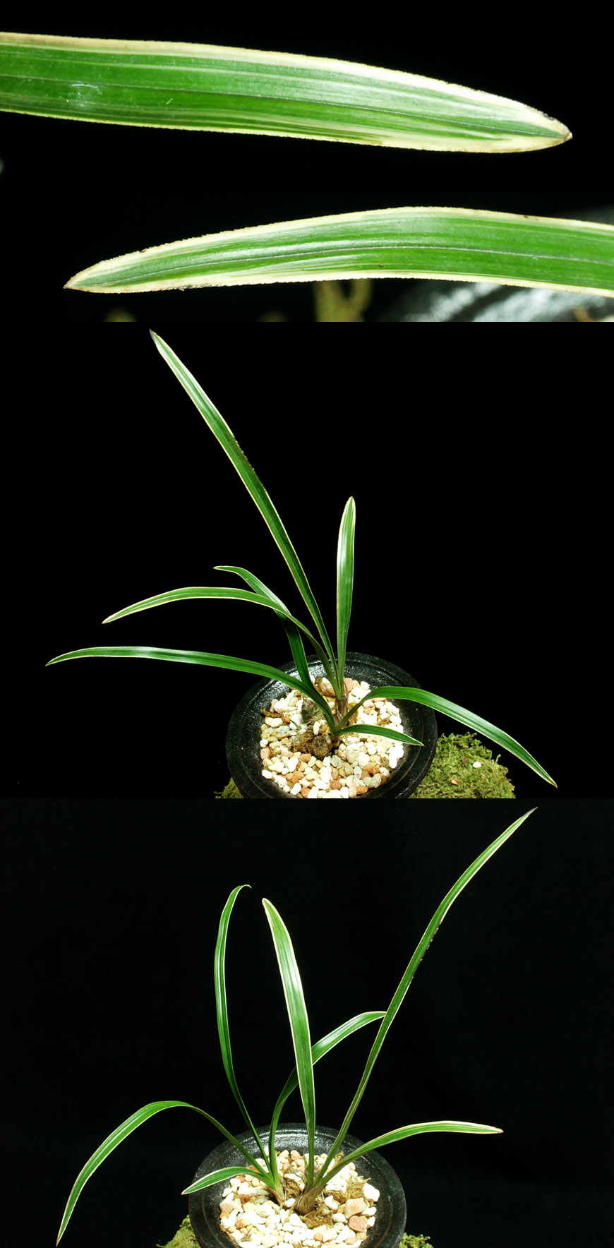 ������ ū������ �� �� �ֽ��ϴ�.