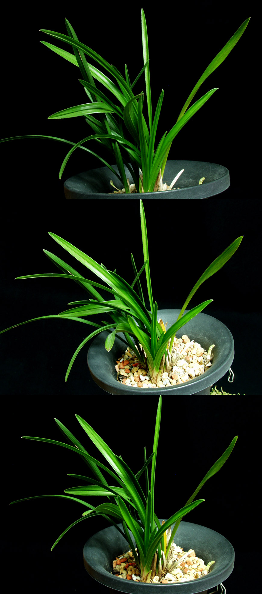 ������ ū������ �� �� �ֽ��ϴ�.