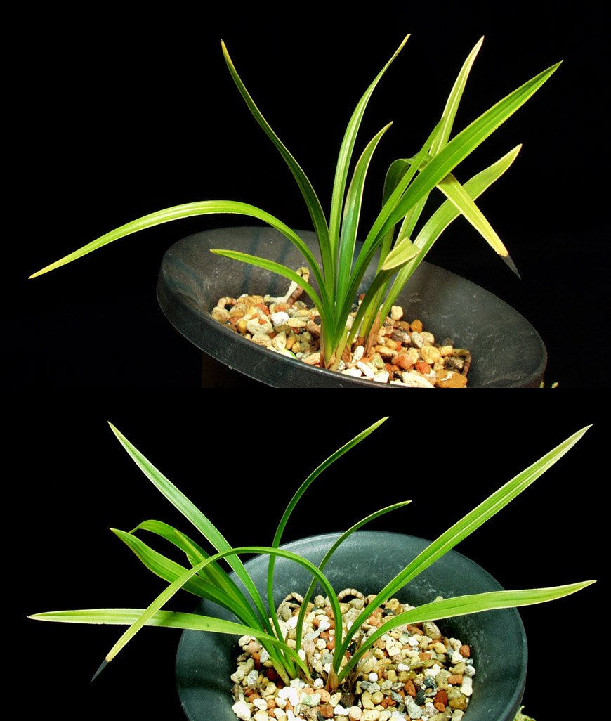 ������ ū������ �� �� �ֽ��ϴ�.