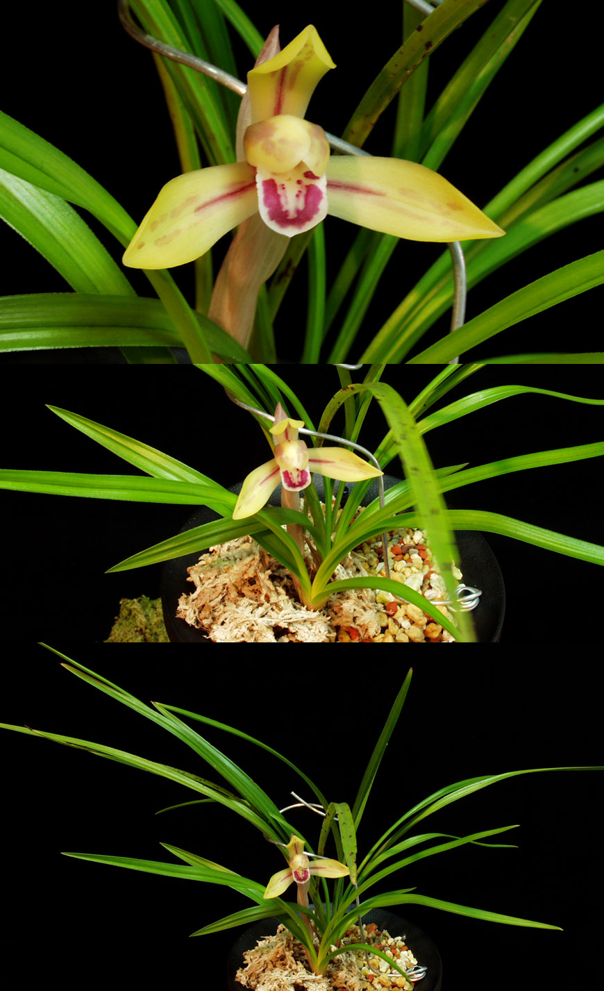 ������ ū������ �� �� �ֽ��ϴ�.