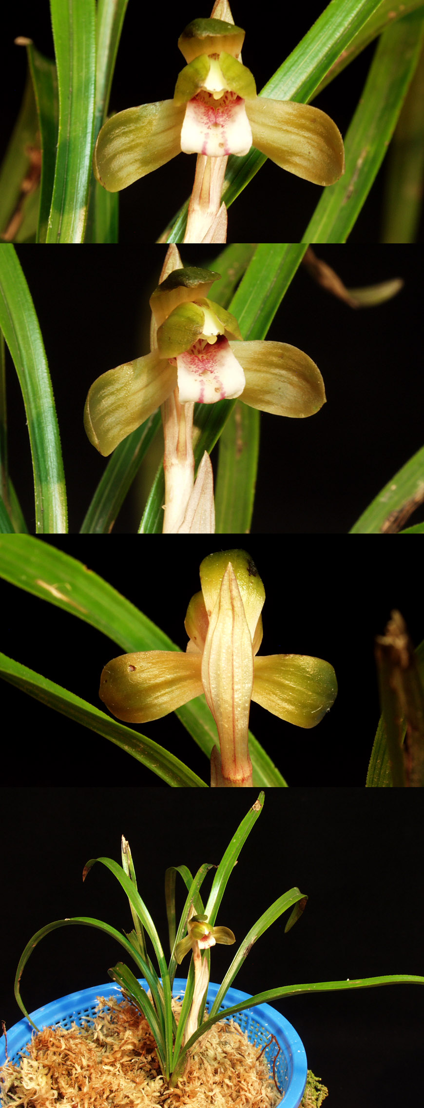 ������ ū������ �� �� �ֽ��ϴ�.