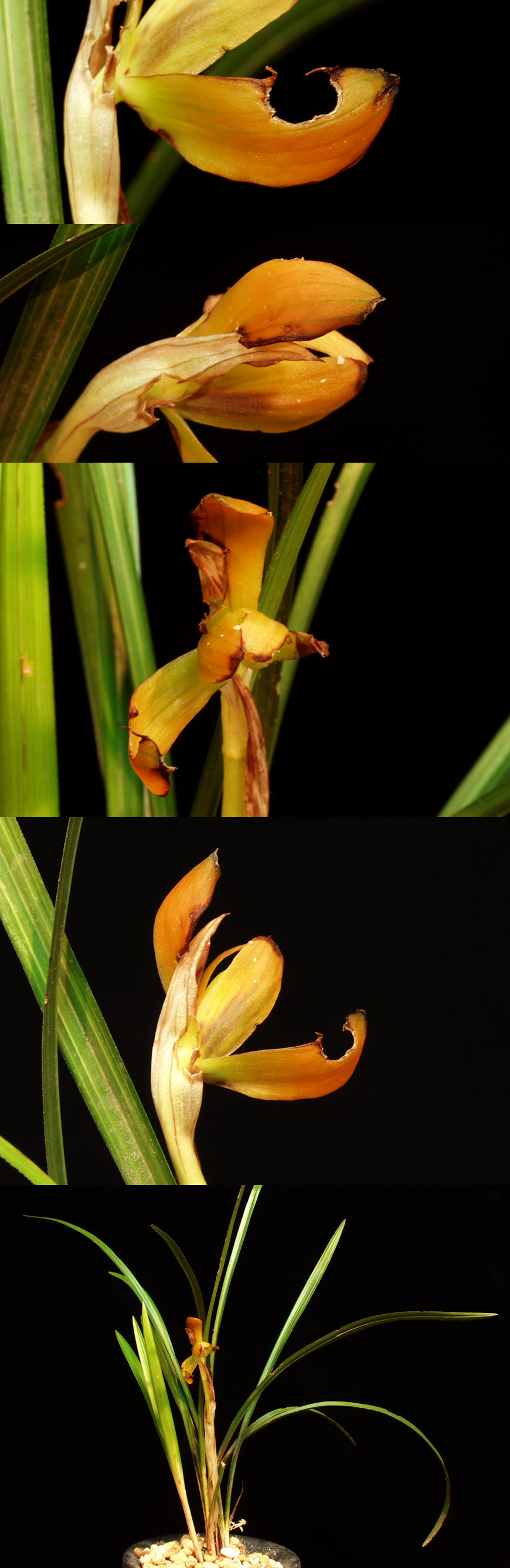 ������ ū������ �� �� �ֽ��ϴ�.