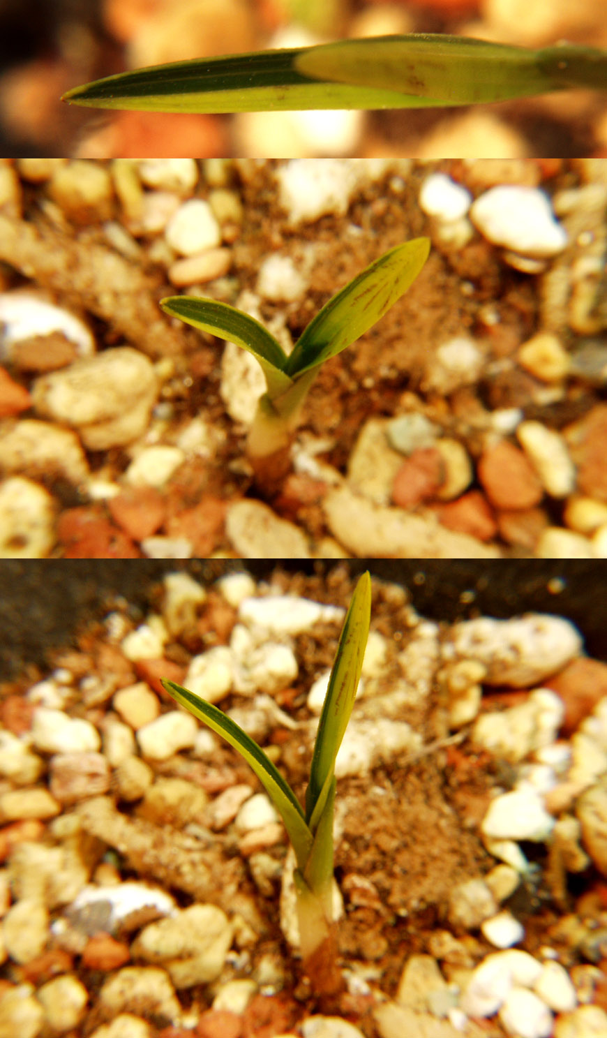 ������ ū������ �� �� �ֽ��ϴ�.