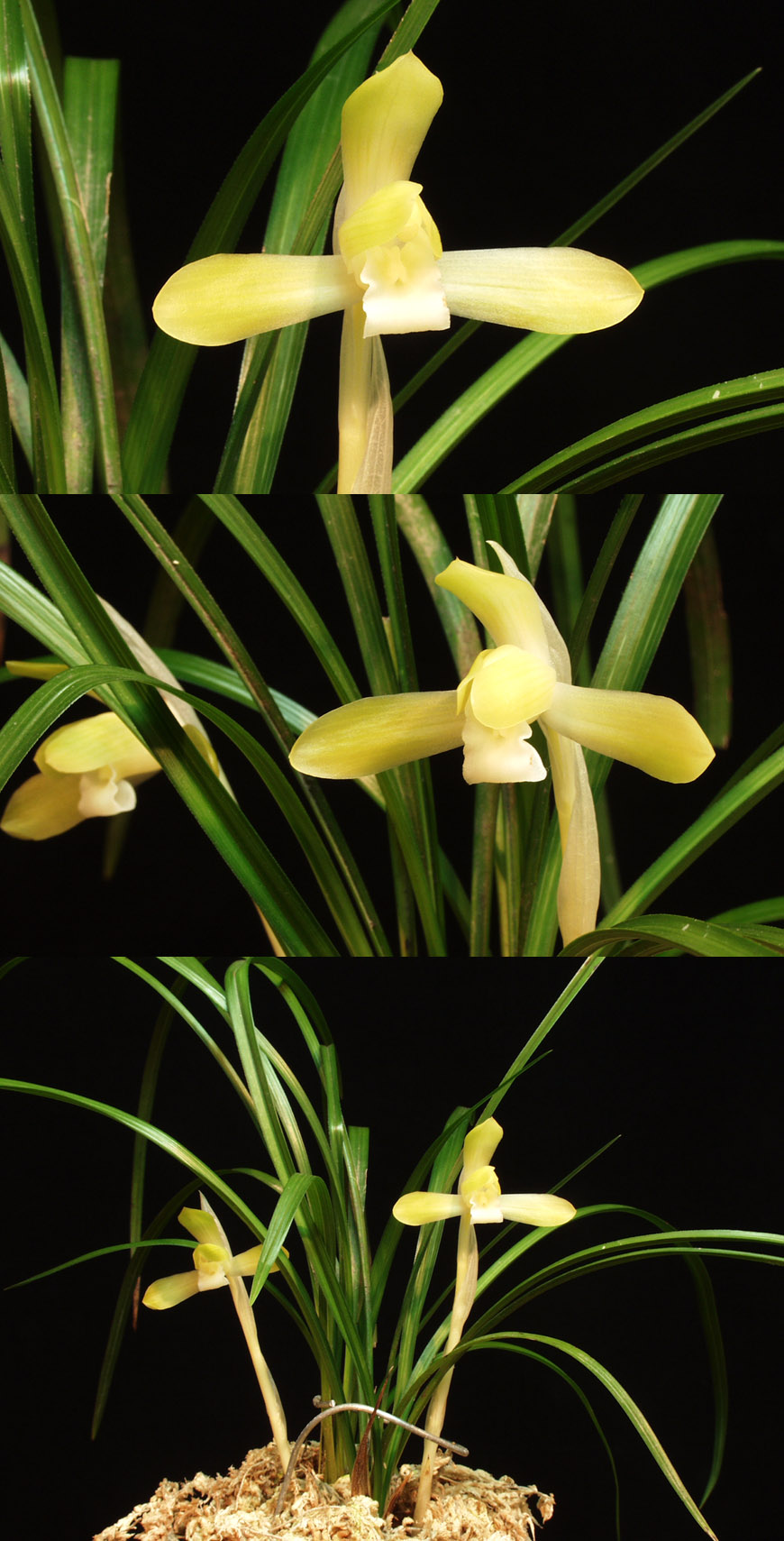 ������ ū������ �� �� �ֽ��ϴ�.