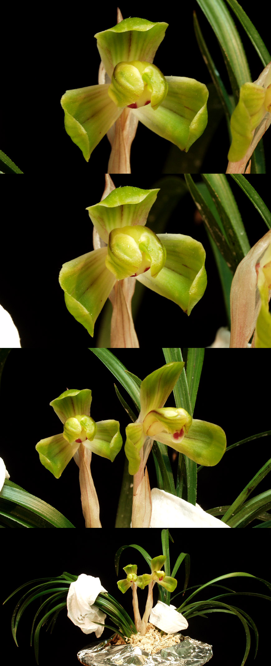 ������ ū������ �� �� �ֽ��ϴ�.