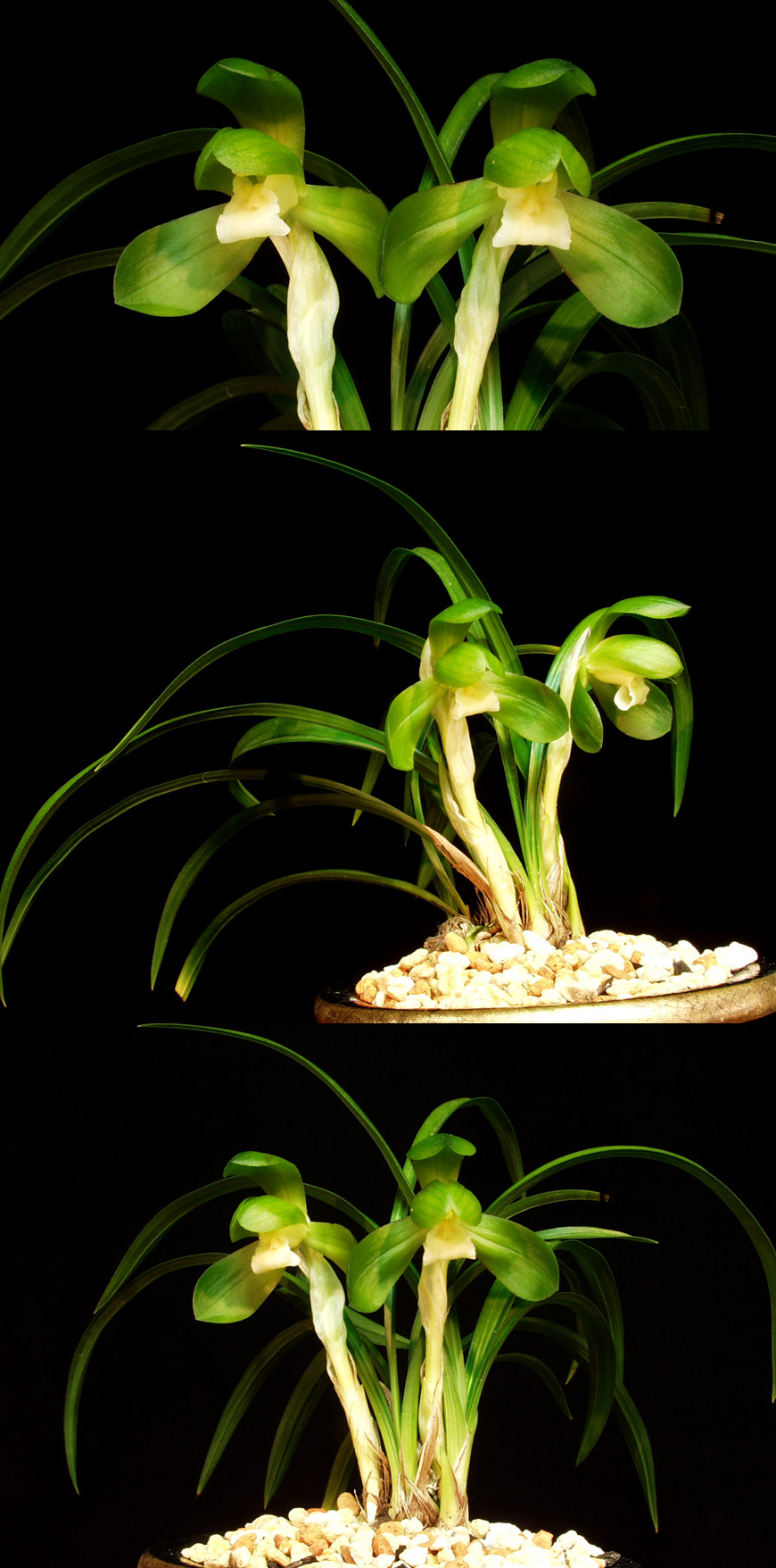 ������ ū������ �� �� �ֽ��ϴ�.