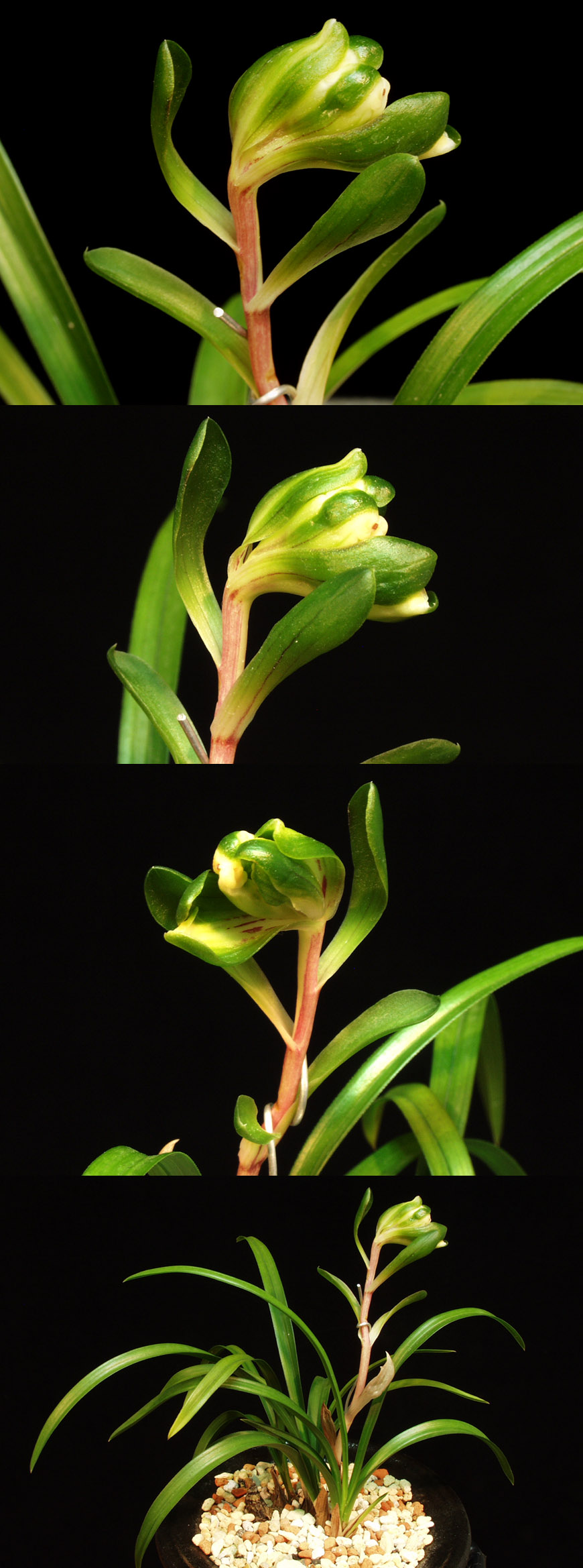 ������ ū������ �� �� �ֽ��ϴ�.