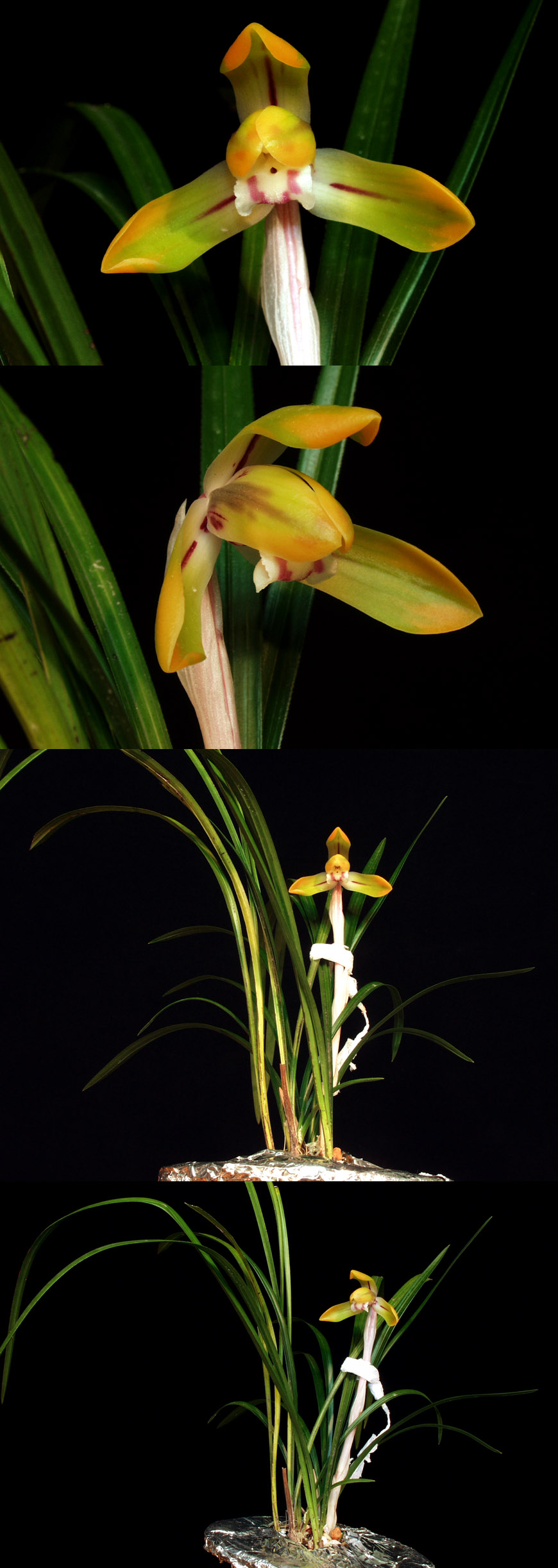 ������ ū������ �� �� �ֽ��ϴ�.